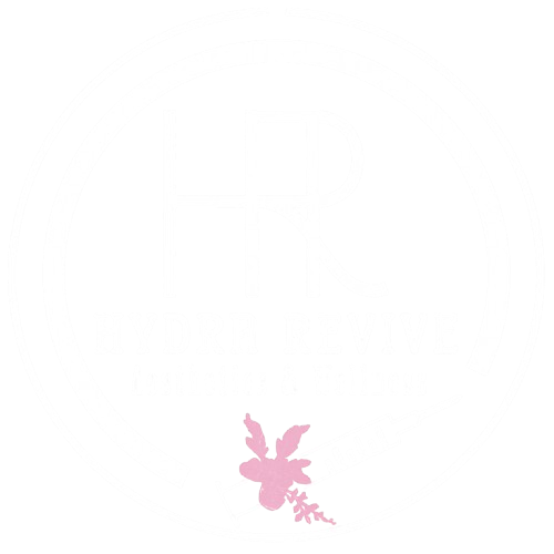 logo-hy